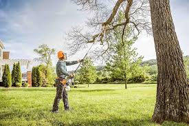 Mulching Services in Hustisford, WI