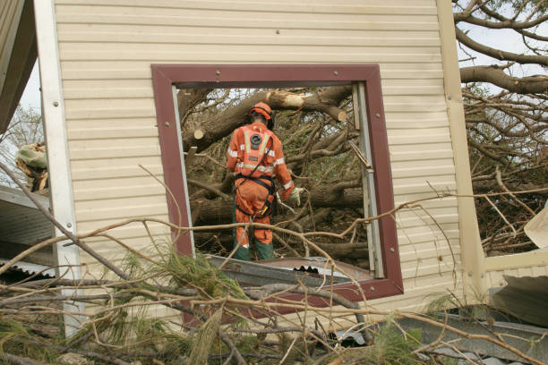 How Our Tree Care Process Works  in  Hustisford, WI